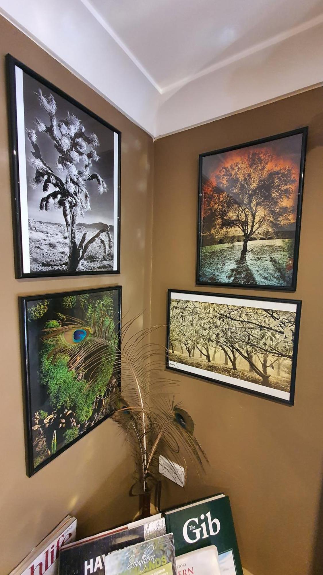 Bowral Road Art Gallery Bed And Breakfast Mittagong Eksteriør billede