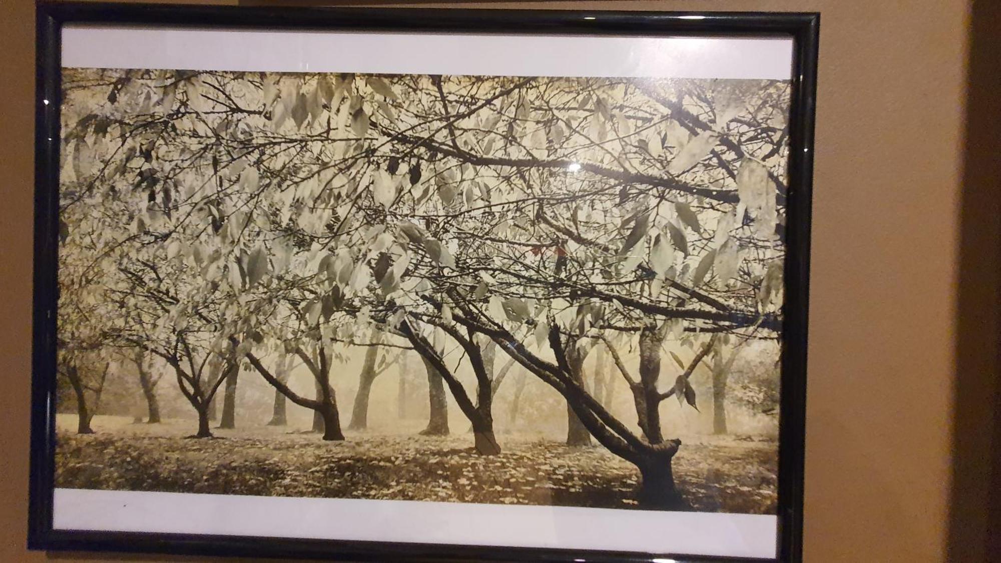 Bowral Road Art Gallery Bed And Breakfast Mittagong Eksteriør billede