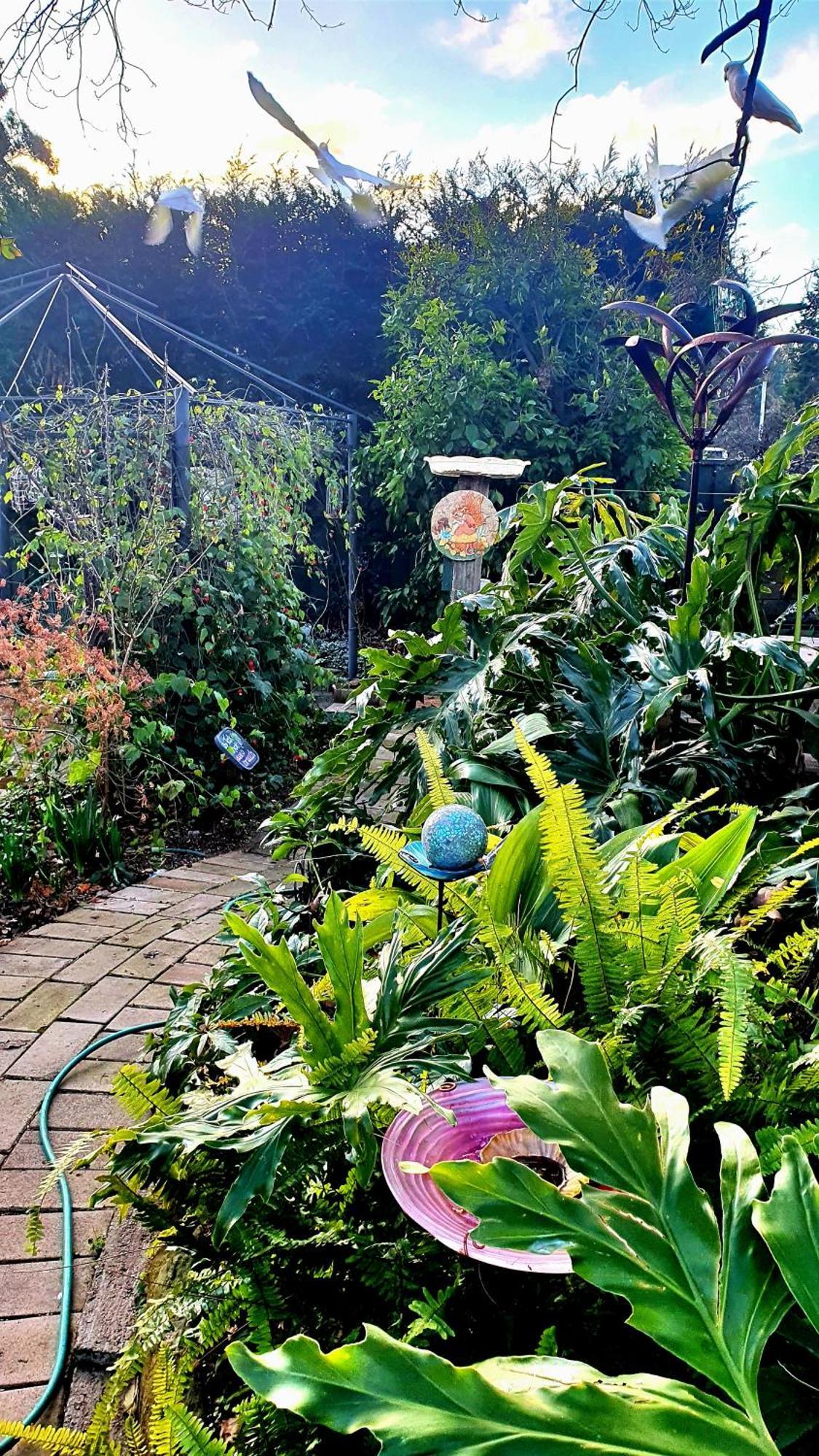 Bowral Road Art Gallery Bed And Breakfast Mittagong Eksteriør billede