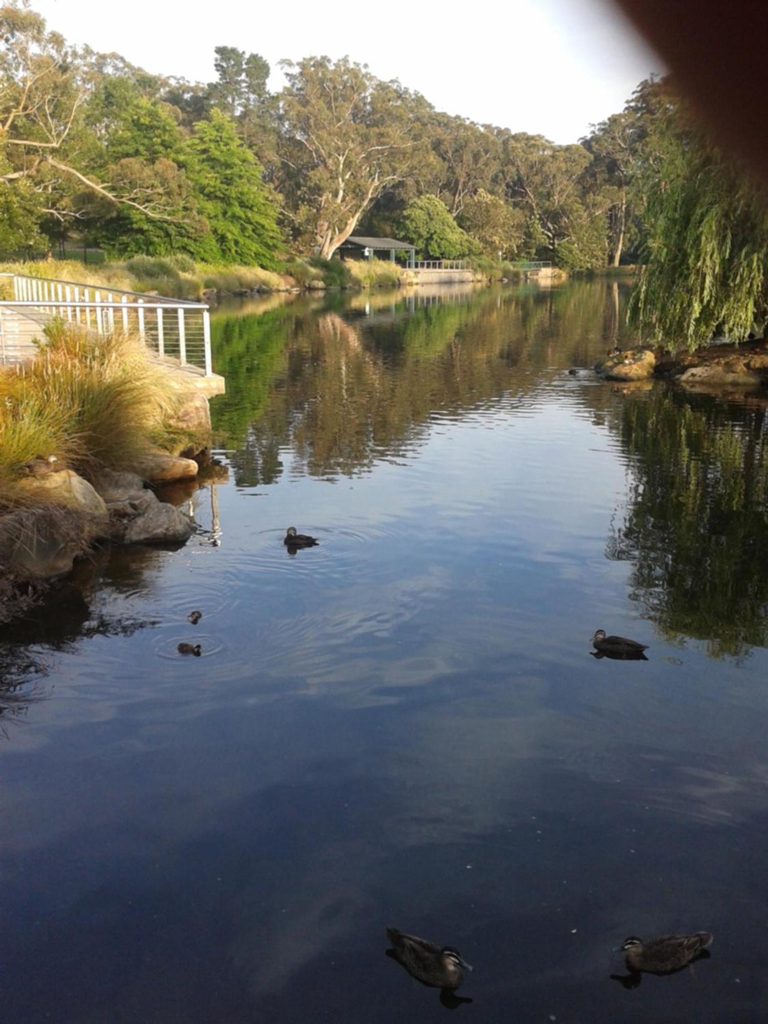 Bowral Road Art Gallery Bed And Breakfast Mittagong Eksteriør billede