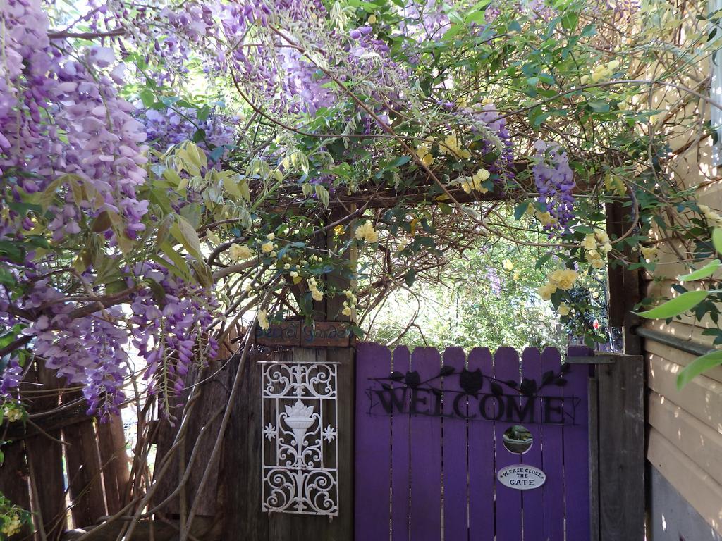 Bowral Road Art Gallery Bed And Breakfast Mittagong Eksteriør billede